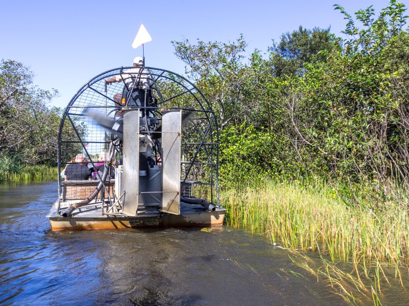 USA - Florida - Everglades