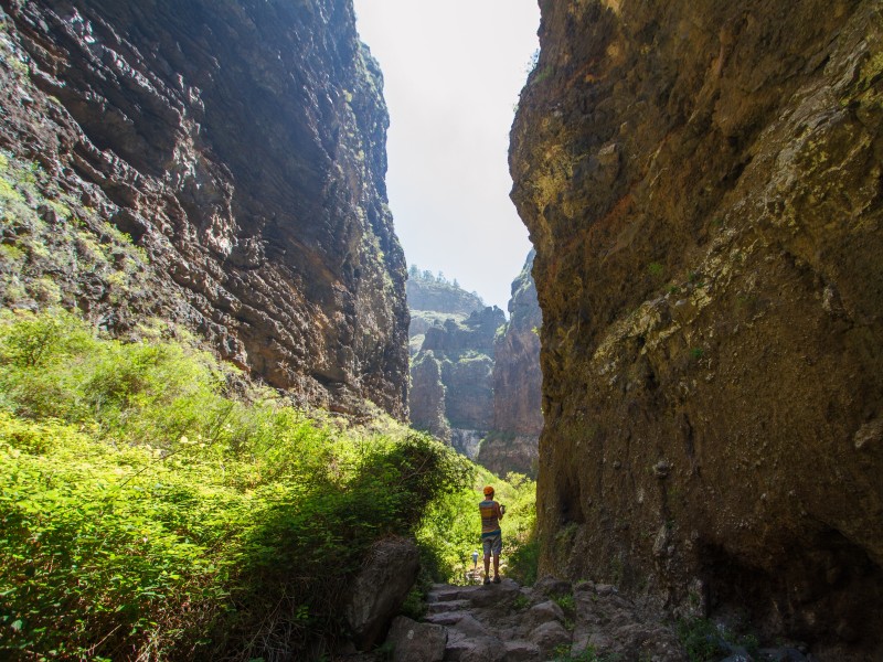 Tenerife Barranco © I. Canarias
