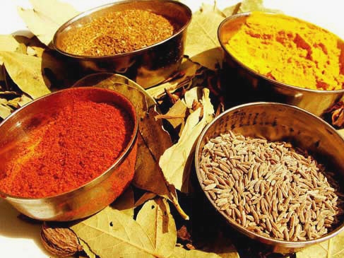 Indien allgemein