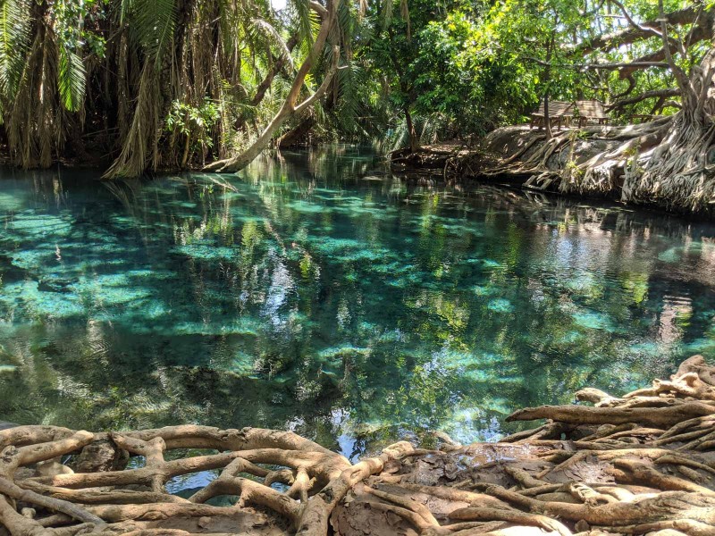 Kikuletwa Hot Spring