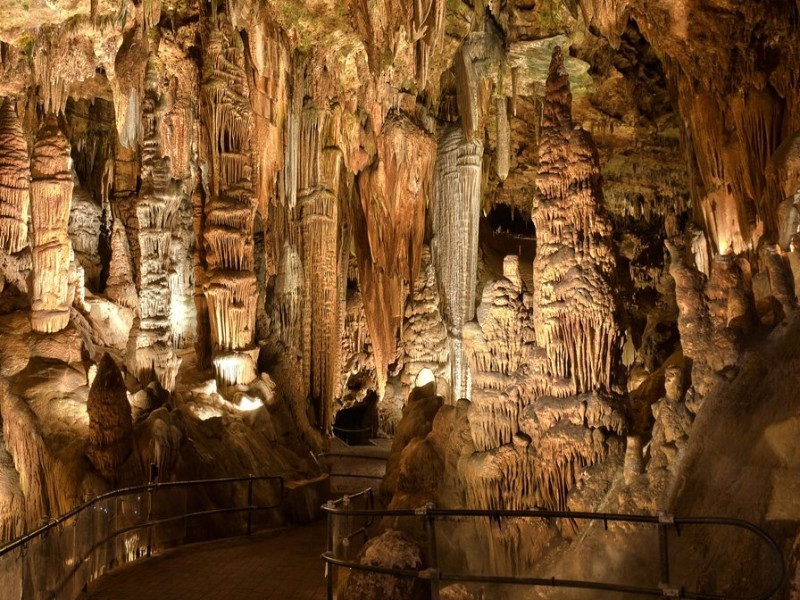 SP.  CAVE & OSTRICH FARM TOUR