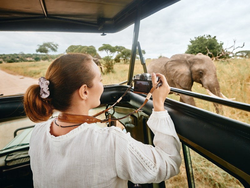 Kenya - Safari