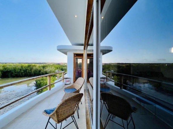 Incredible Views Over the Mangroves