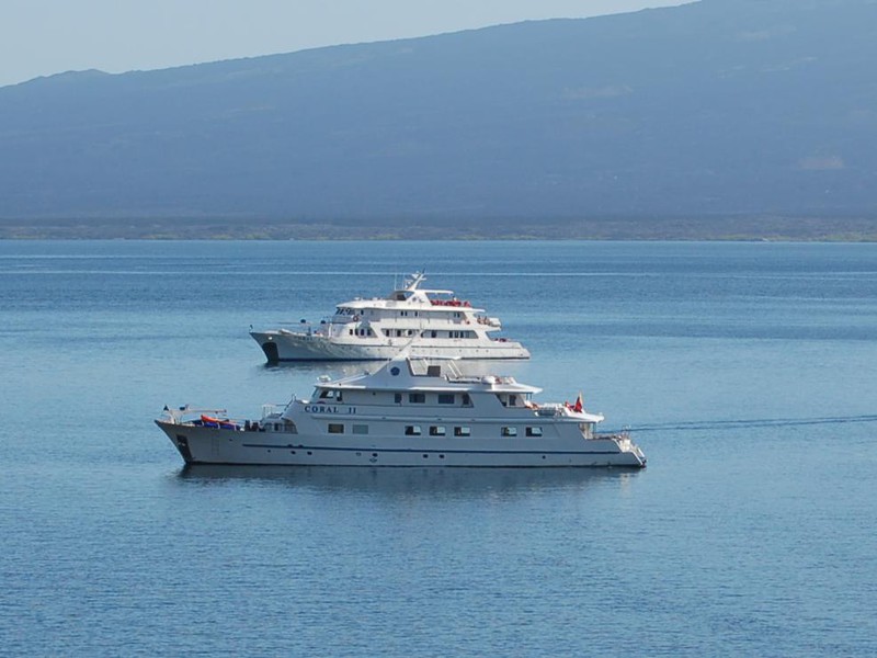 Schwesterschiffe Coral I und II