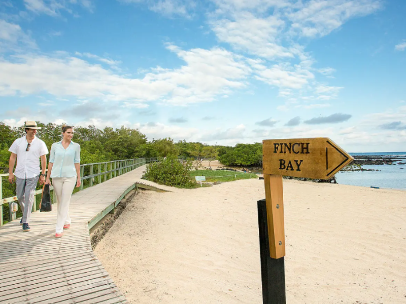 Auf dem Weg zu Finch Bay