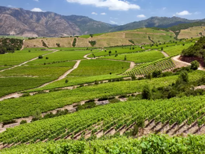 Colchagua Valley