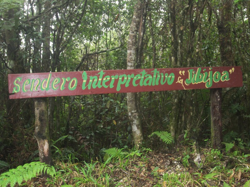 Wanderweg