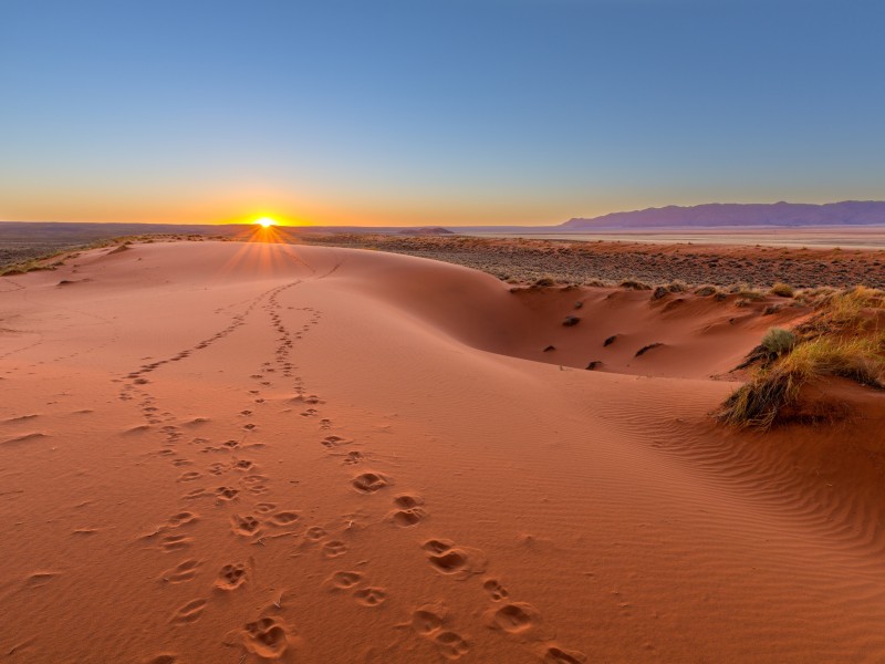 Namibia-Kalahari Wüste©HannesThirion-gty