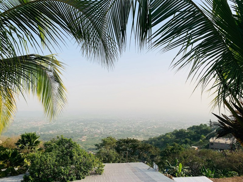 Ghana header - palms 