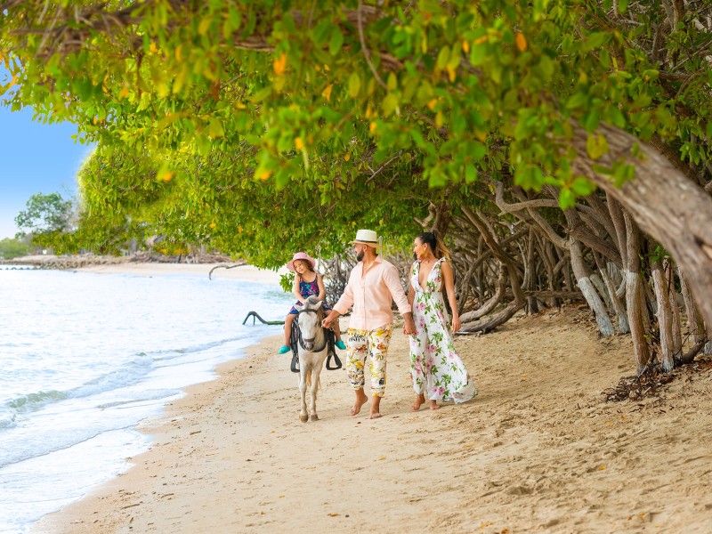 Isla del Encanto - Strand
