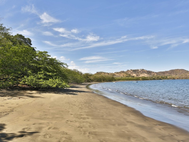 El Mangroove - Playa Panama