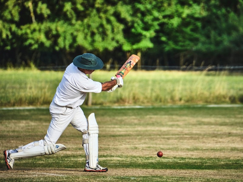 Cricket