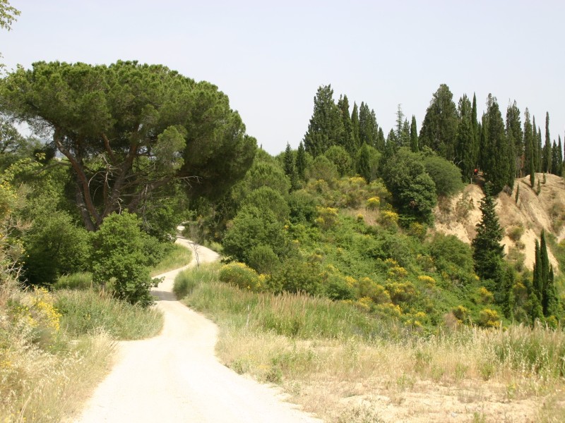Val d’Orcia on MTB