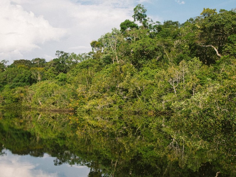 Manaus Amazon Jungle Adventure 3D/2N