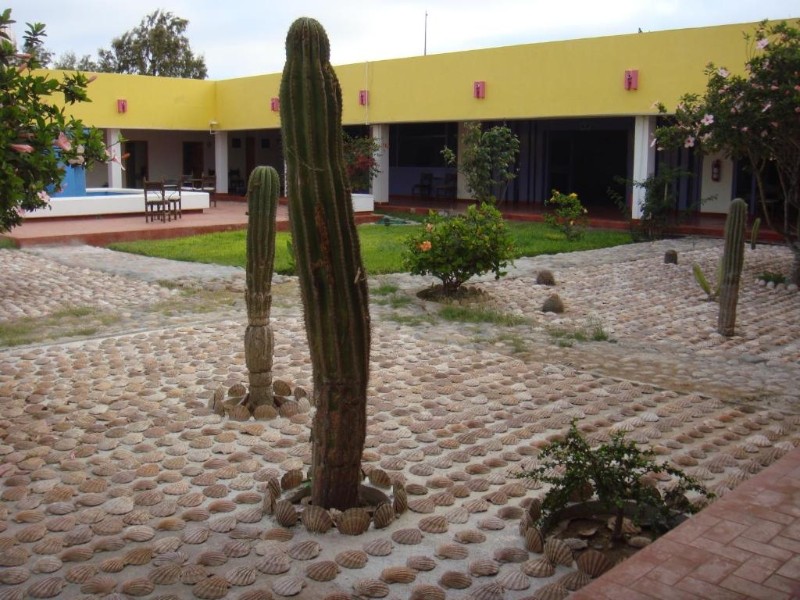 Halfway Inn - Garten