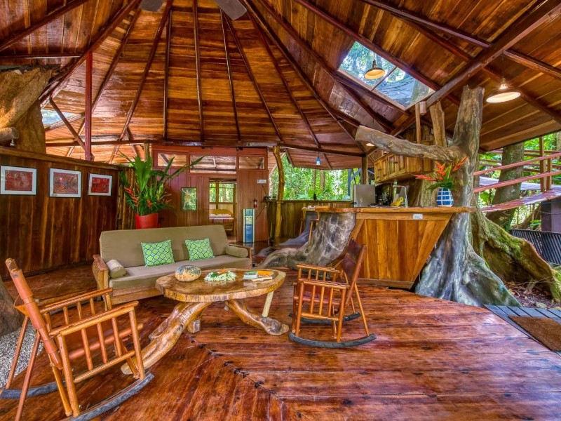 Tree House Lodge - Tree House Wohnzimmer