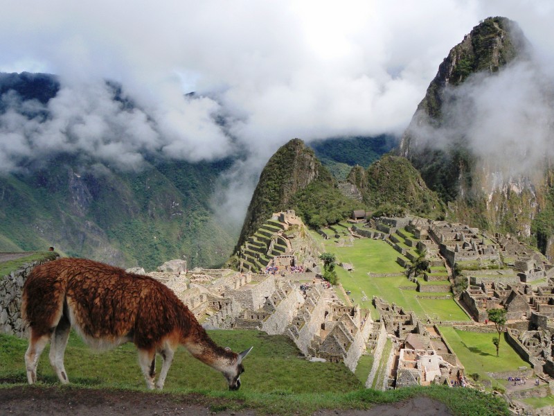 Machu Picchu