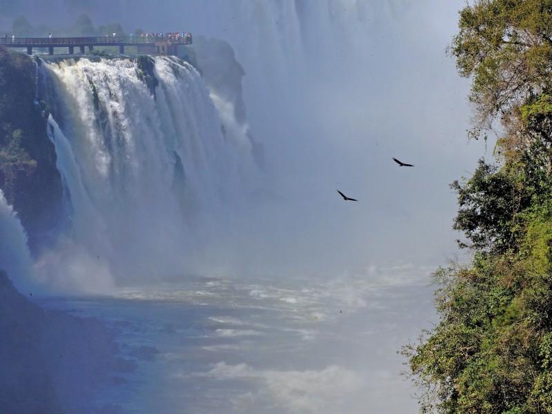 Iguazu falls 