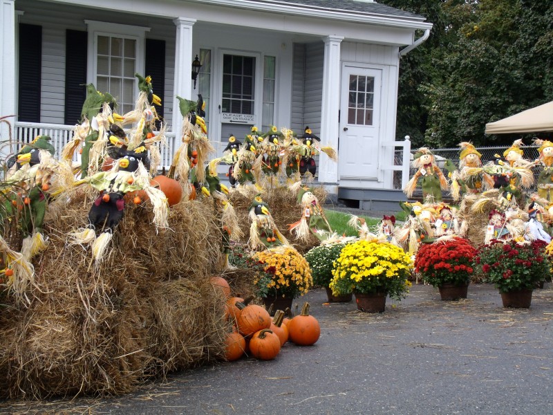 USA - East USA - Oak Bluffs