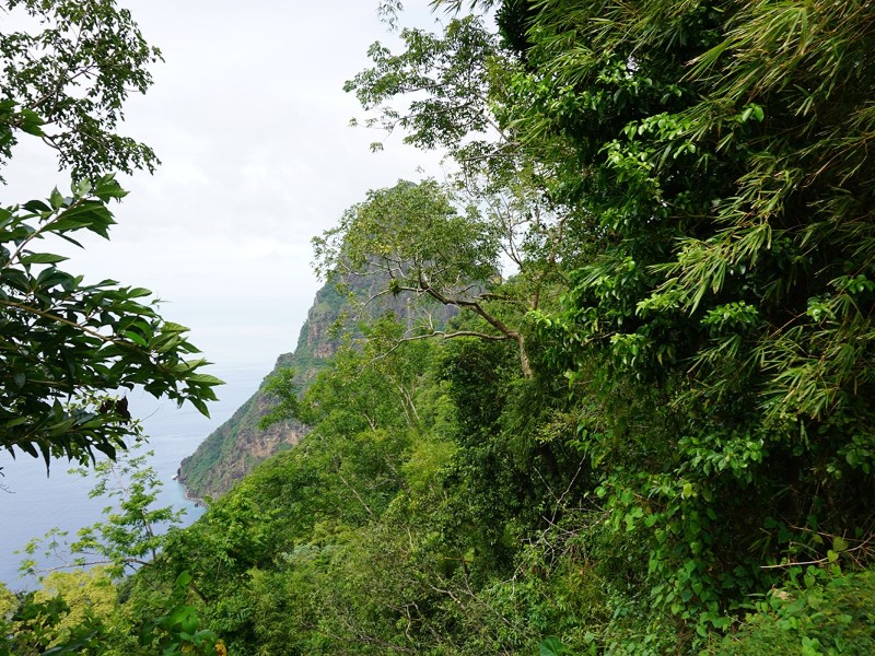 Tet Paul Trail View