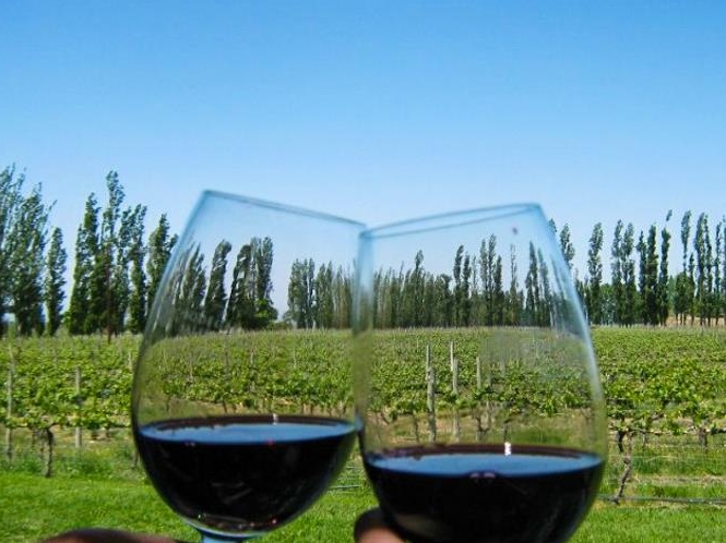 Mendoza Wine Experience