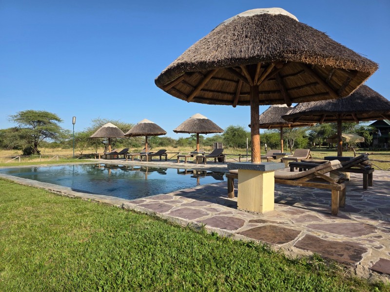 Africa Safari Serengeti Ikoma 