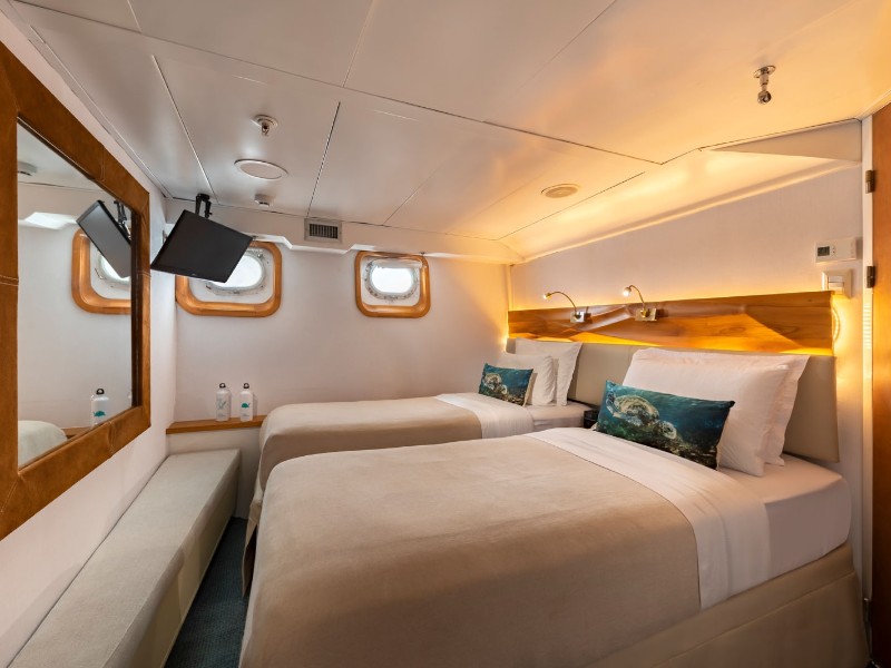 Coral Standard Plus Suite
