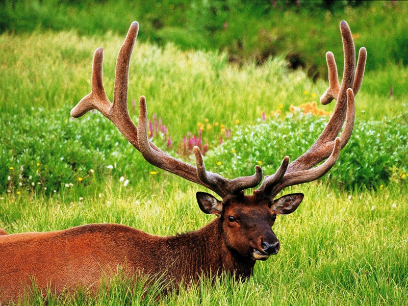 USA - East USA - Finger lakes