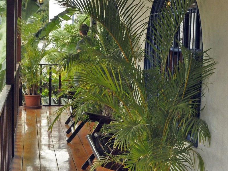 Orosi Lodge - Balkon