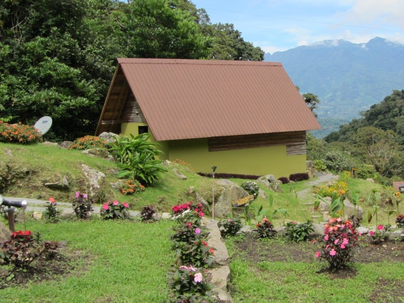 Tree Trek Mountain Resort