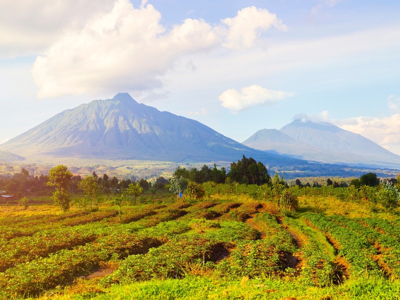 Virunga-Berge und Vulkane in Ruanda 