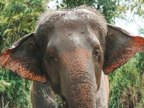 Thailand - Pai 2