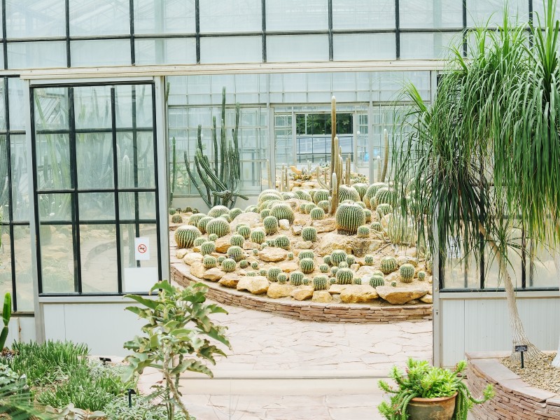 Chiang Mai - Queen Sirikit