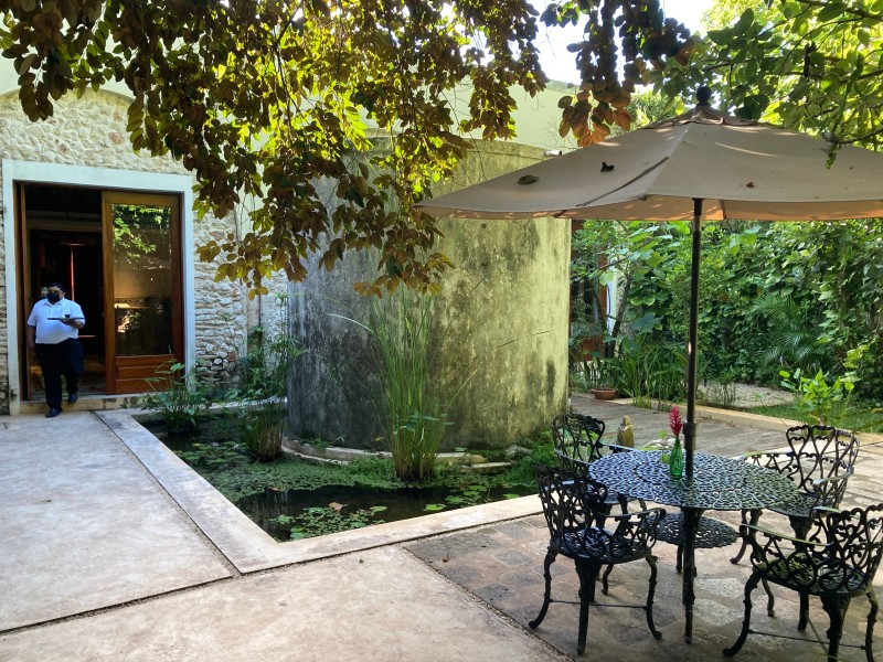 Verde Morada - Garten