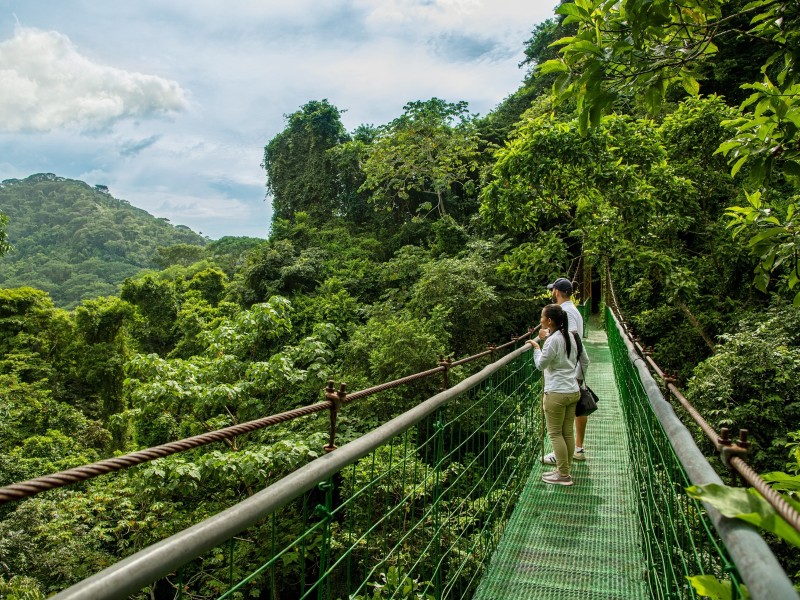 Villa Lapas - Hängebrücke