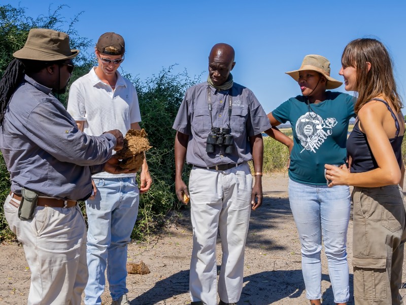 Walking Safari Elephant Valley Lodge