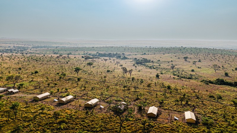 Africa Safari Serengeti  Kogatende