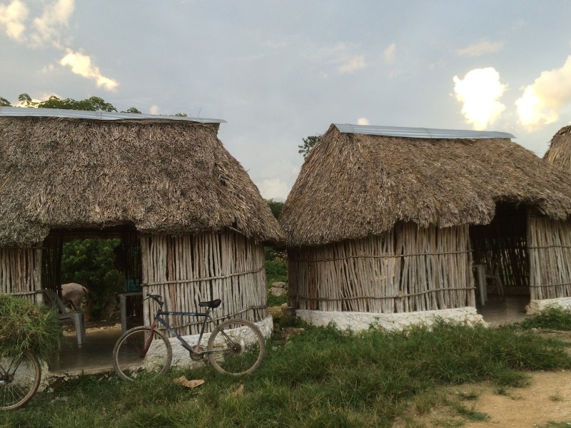 Mayan Hut