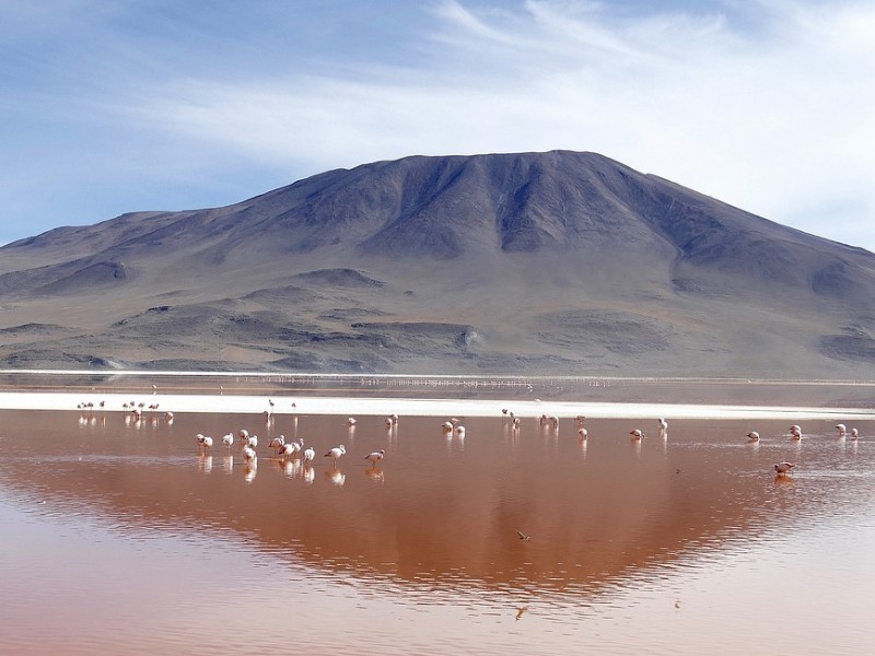 Laguna Colorada