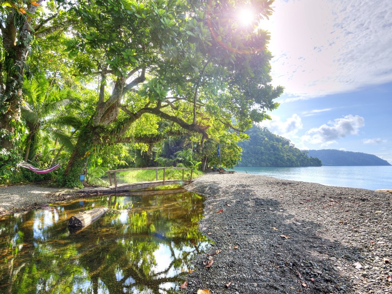 Playa Nicuesa Lodge - Golfo Dulce