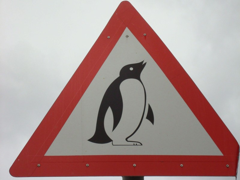 South Africa - Boulders beach 