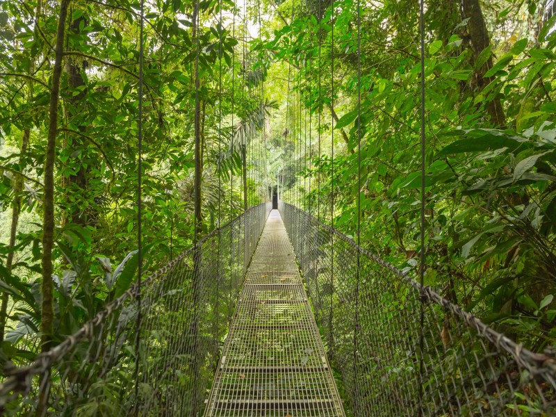 Hängebrücke im Regenwald - Costa Rica