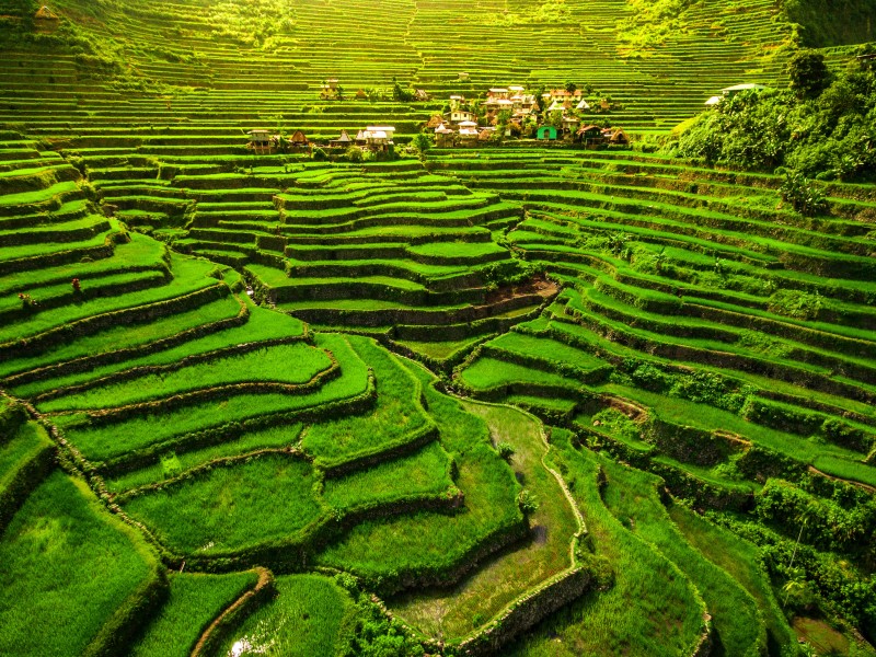 Philippinen - Banaue