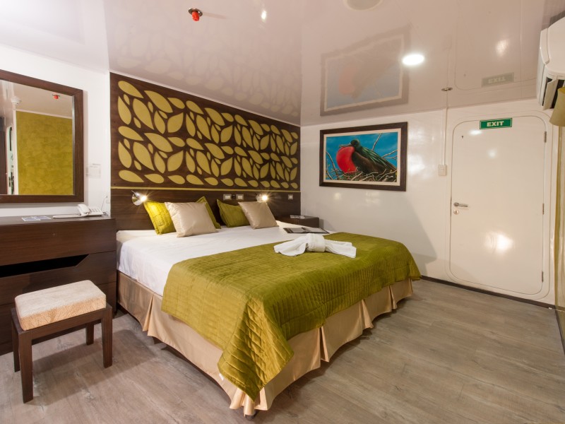 Double Cabin EcoGalaxy