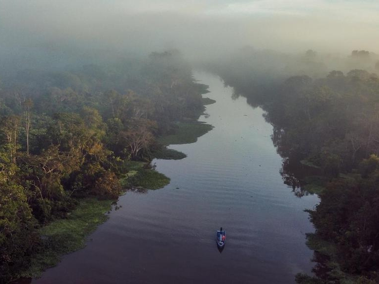 Regenwald Peru an der Amazonasmündung