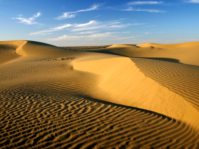 Sanddünen in der Thar Wüste-Indien