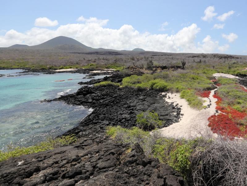 Magnificent Floreana