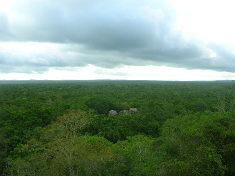 Calakmul - Luftansicht