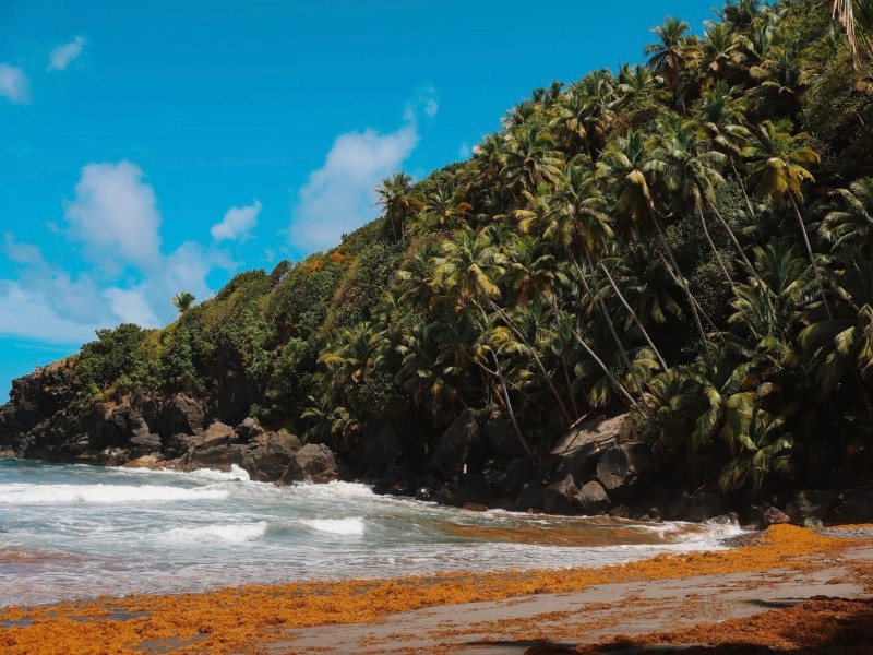 Black Point, Saint Vincent