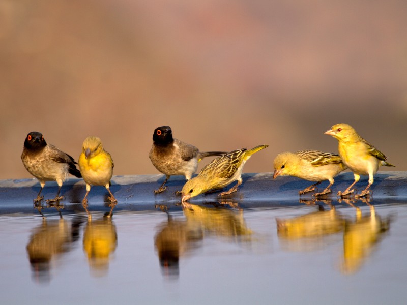 Namibia - Opuwo
